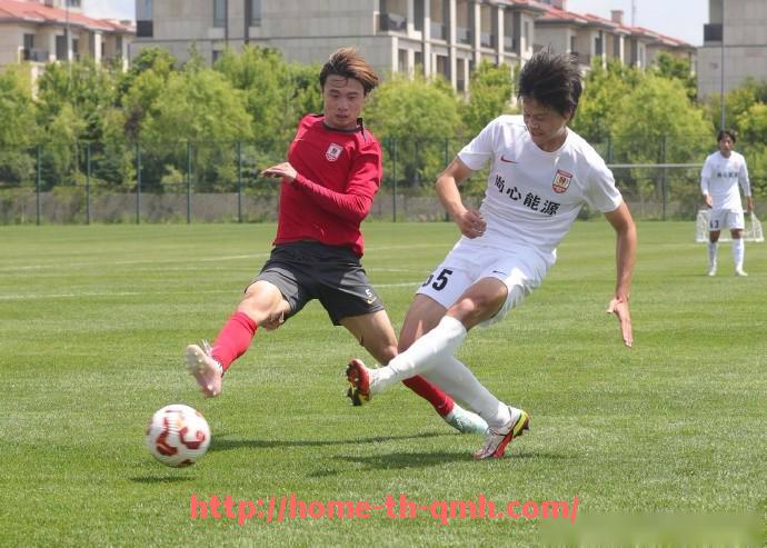 球盟会官网-德甲球队实力划分等级图表：从豪门到保级队