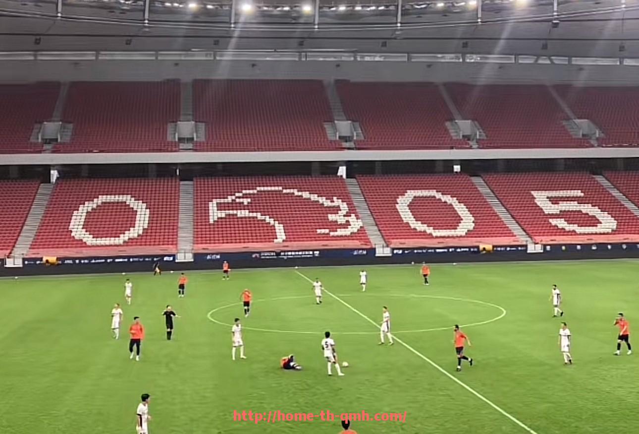 球盟会官网-德甲费莱堡俱乐部的历史与发展路径